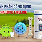 5-thanh-phan-alpha-lipid-lifeline